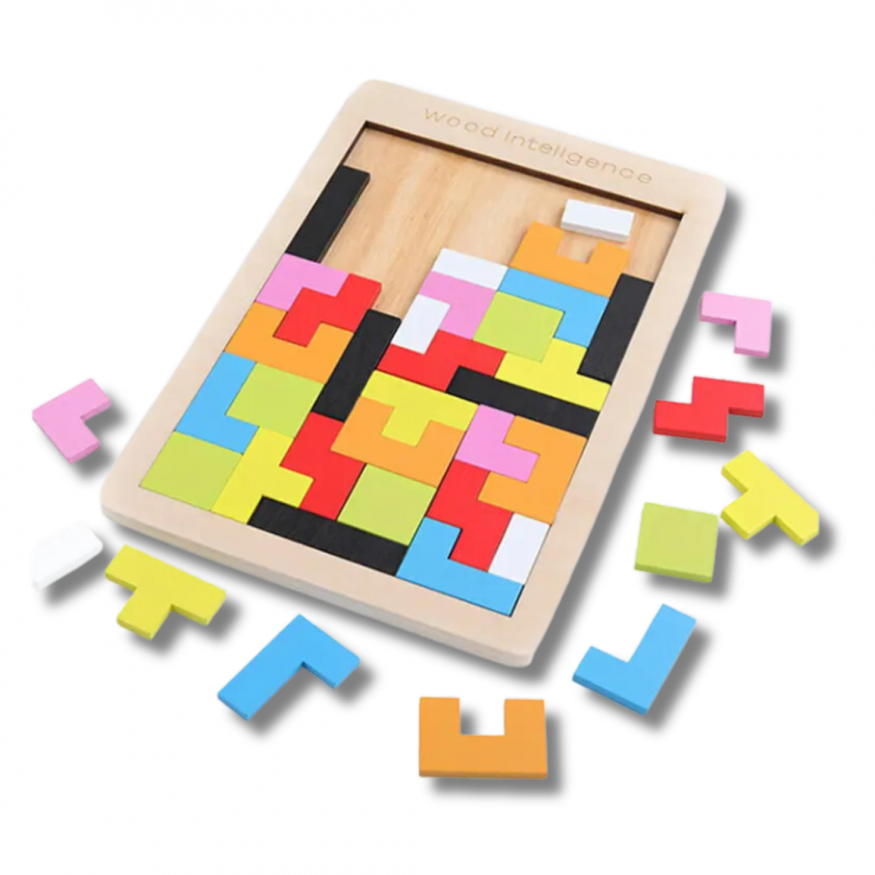 Wooden Intelligence Puzzle