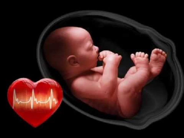 কখন আমার গর্ভের শিশুর হৃদস্পন্দন শুনতে পাব?